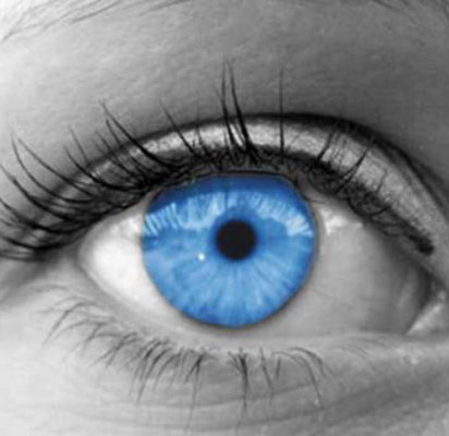 Product picture Make $75/Day with 5 Minutes of Work